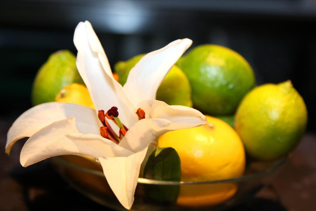 Hotel Ibis Styles La Rioja アルネド エクステリア 写真